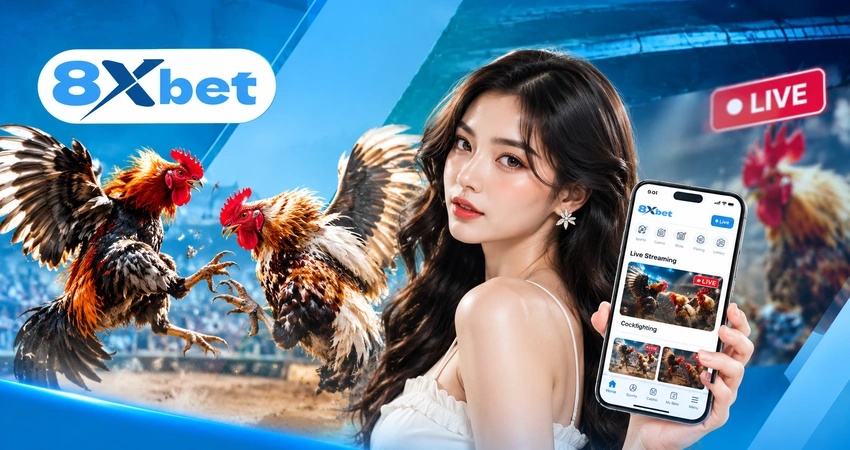 Theo Dõi Đá Gà Trực Tiếp Trên 8xbet