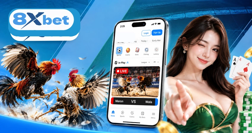 Theo Dõi Đá Gà 8xbet Tải Trên Điện Thoại